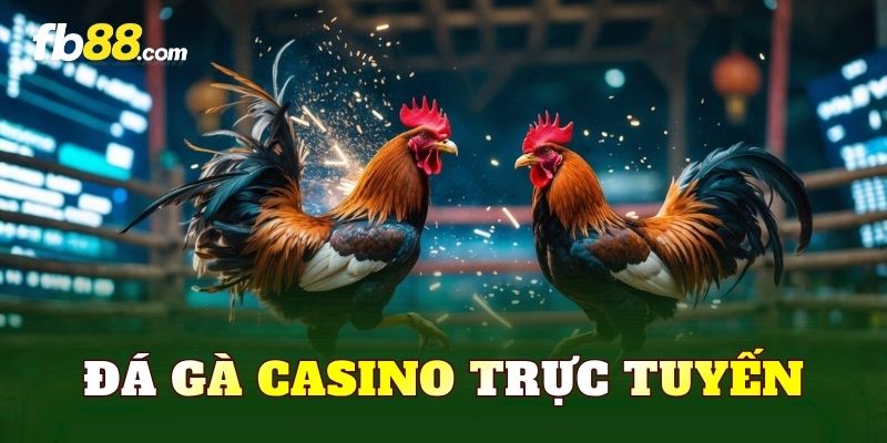 Đá Gà Casino Trực Tuyến